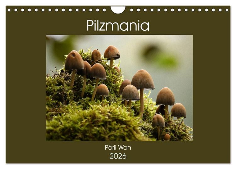 Produktbild: Pilzmania (Wandkalender 2026 DIN A4 quer), CALVENDO Monatskalender
