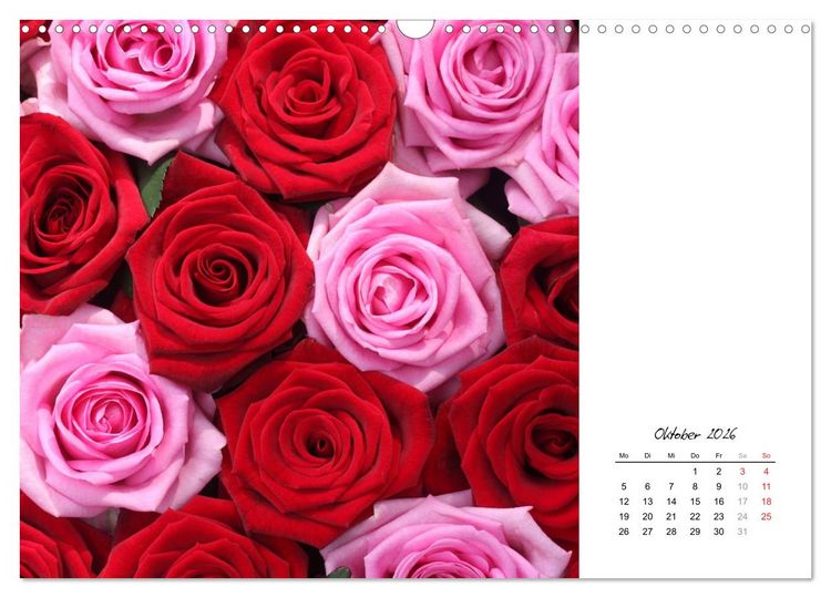 Produktbild: Die vielen Gesichter der Rosen (Wandkalender 2026 DIN A3 quer), CALVENDO Monatskalender