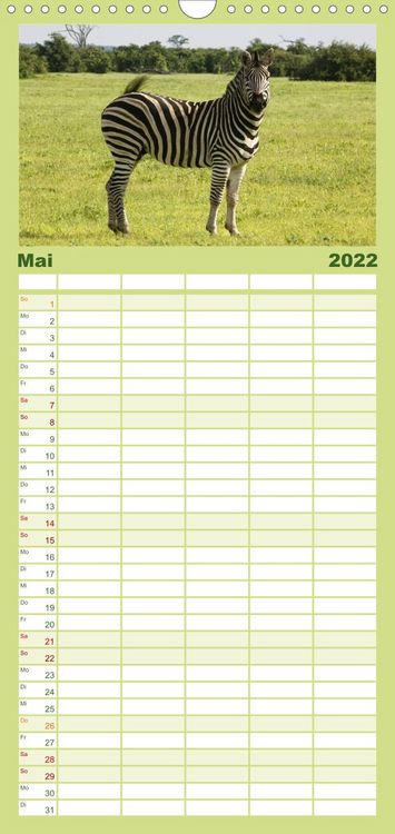Produktbild: Familienplaner Zebras - Faszination der Wildnis (Wandkalender 2022 , 21 cm x 45 cm, hoch)