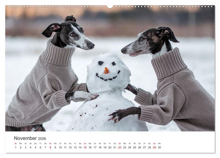Produktbild: Funny Greyhounds - Windhunde mal anders (Wandkalender 2026 DIN A2 quer), CALVENDO Monatskalender