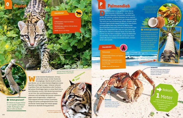 Produktbild: WAS IST WAS Geniale Tiere ... und ihre Tricks