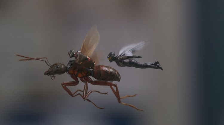 Produktbild: Ant-Man and the Wasp