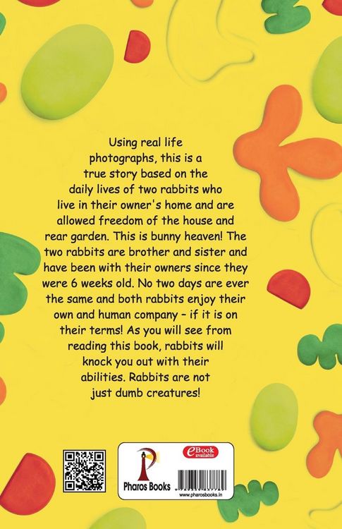 Produktbild: Bunnie the Bunny with Bugsy the Bunny our lives and other bits