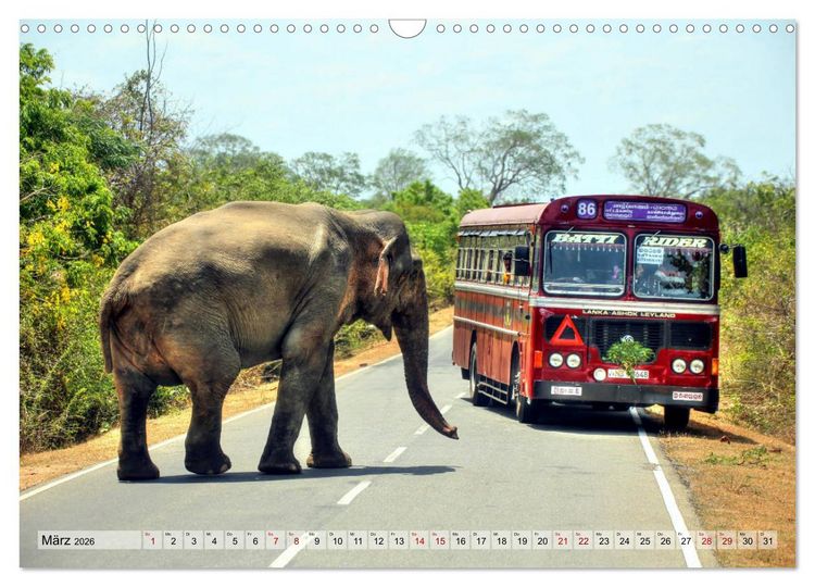 Produktbild: Sri Lanka - Tempel, Tee und Elefanten (Wandkalender 2026 DIN A3 quer), CALVENDO Monatskalender
