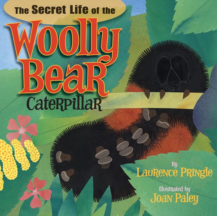 Produktbild: The Secret Life of the Woolly Bear Caterpillar