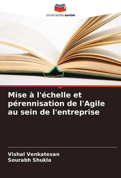 Produktbild: Mise &agrave; l'&eacute;chelle et p&eacute;rennisation de l'Agile au sein de l'entreprise