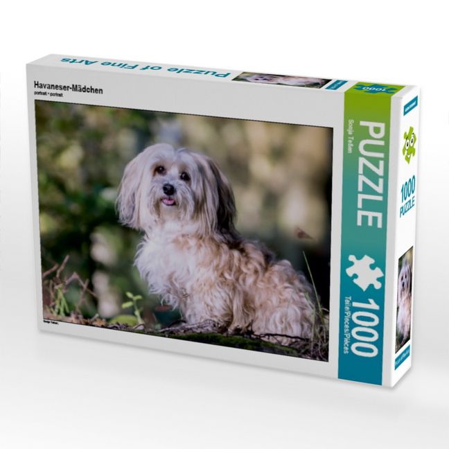 Produktbild: CALVENDO Puzzle Havaneser-M&auml;dchen | 1000 Teile Lege-Gr&ouml;&szlig;e 64x48cm Foto-Puzzle f&uuml;r gl&uuml;ckliche Stunden