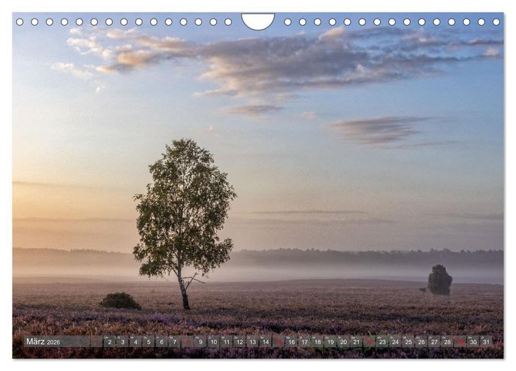 Produktbild: Die L&uuml;neburger Heide - In voller Bl&uuml;te (Wandkalender 2026 DIN A4 quer), CALVENDO Monatskalender