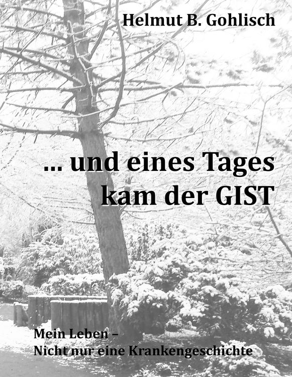 Produktbild: ... und eines Tages kam der GIST