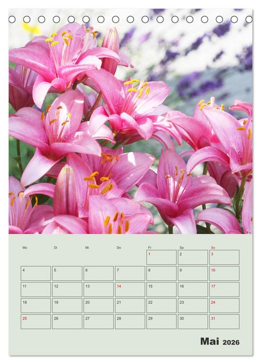 Produktbild: Lilien im Garten (Tischkalender 2026 DIN A5 hoch), CALVENDO Monatskalender