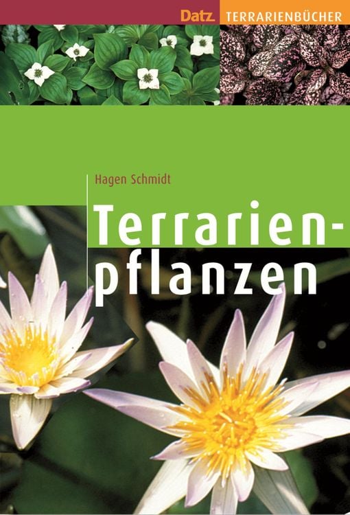Bild vom Artikel Terrarienpflanzen vom Autor Hagen Schmidt