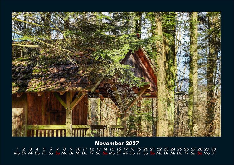 Produktbild: B&auml;ume 2027 Fotokalender DIN A4