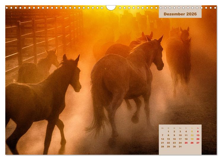Produktbild: Pferde - Andalusiens wilder Westen (Wandkalender 2026 DIN A3 quer), CALVENDO Monatskalender