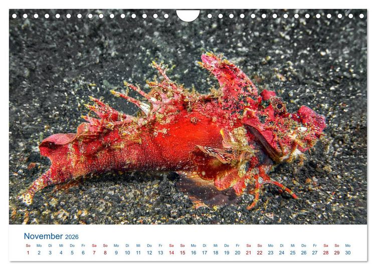 Produktbild: Die Farben im Meer (Wandkalender 2026 DIN A4 quer), CALVENDO Monatskalender