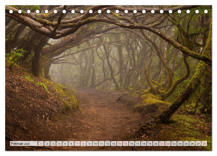 Produktbild: Die stille Magie der Insel Teneriffa (Tischkalender 2026 DIN A5 quer), CALVENDO Monatskalender