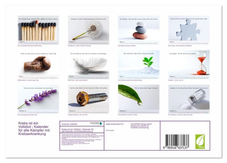 Produktbild: Krebs ist ein Vollidiot - Kalender f&uuml;r alle K&auml;mpfer mit Krebserkrankung (Wandkalender 2026 DIN A4 quer), CALVENDO Monatskalender