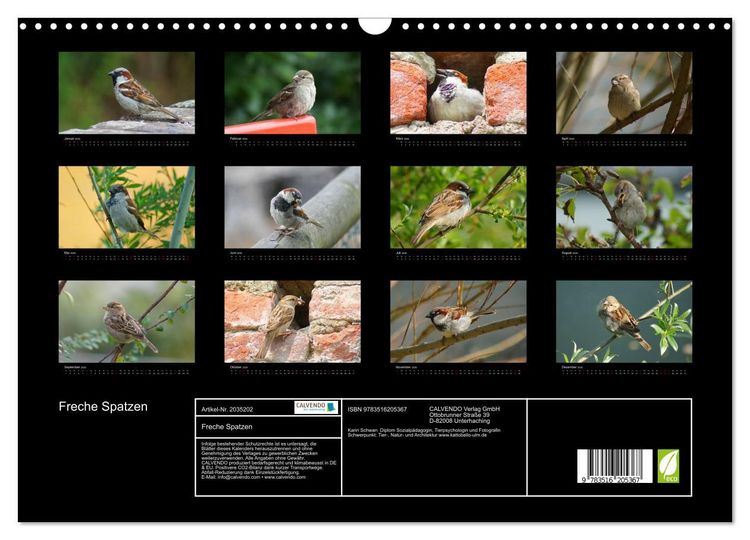 Produktbild: Freche Spatzen (Wandkalender 2026 DIN A3 quer), CALVENDO Monatskalender