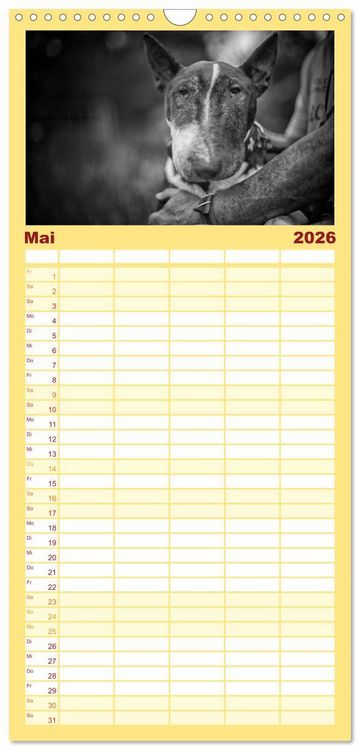 Produktbild: Familienplaner 2026 - Bullterrier mit 5 Spalten (Wandkalender, 21 x 45 cm) CALVENDO