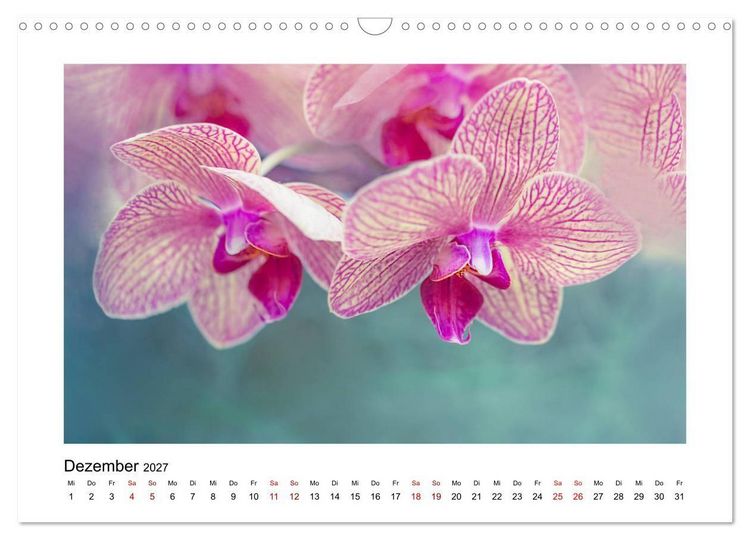 Produktbild: Rosa Bl&uuml;tentraum (Wandkalender 2027 DIN A3 quer), CALVENDO Monatskalender