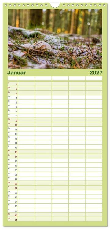 Produktbild: Familienplaner 2027 - Vielfalt am Waldboden mit 5 Spalten (Wandkalender, 21 x 45 cm) CALVENDO