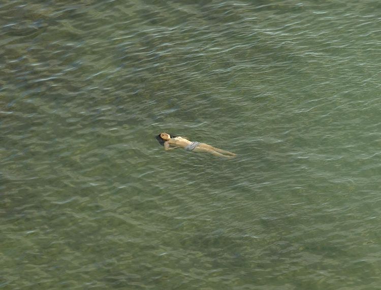 Produktbild: Richard Misrach: The Mysterious Opacity of Other Beings (Signed Edition)