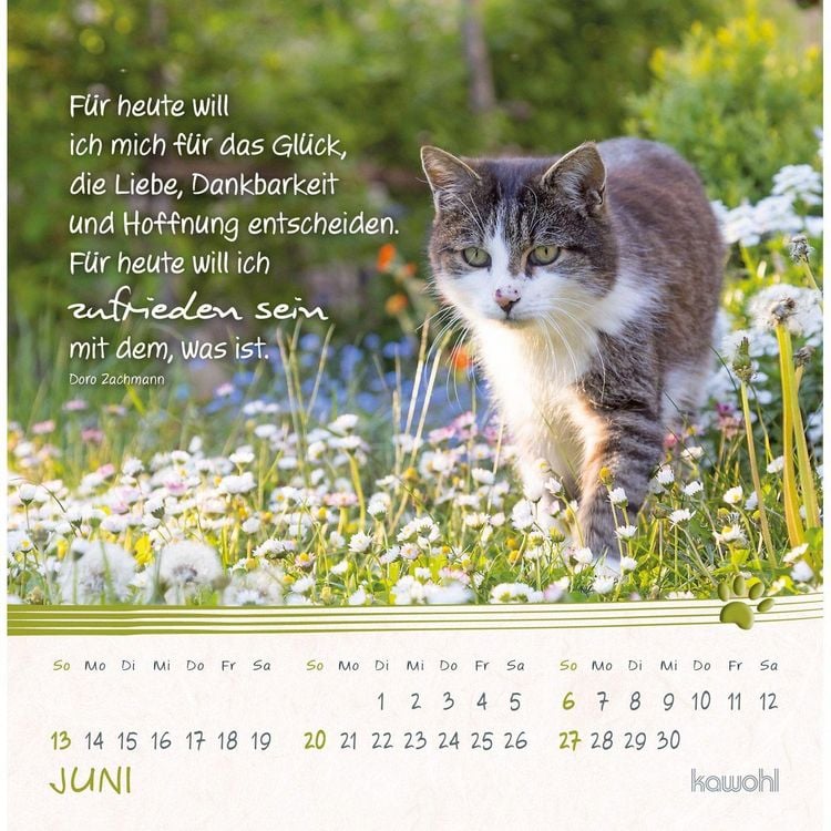 Produktbild: Kleine Katzen-Tatzen 2027
