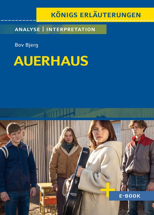 Bild vom Artikel Auerhaus von Bov Bjerg - Textanalyse und Interpretation vom Autor Bov Bjerg