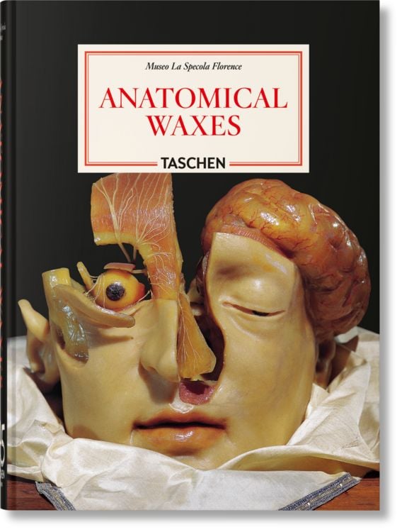 Produktbild: Anatomical Waxes. 45th Ed.