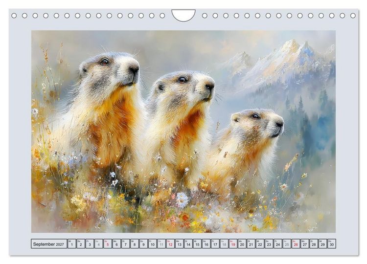 Produktbild: Murmeltiere. Kleine W&auml;chter der Berge (Wandkalender 2027 DIN A4 quer), CALVENDO Monatskalender