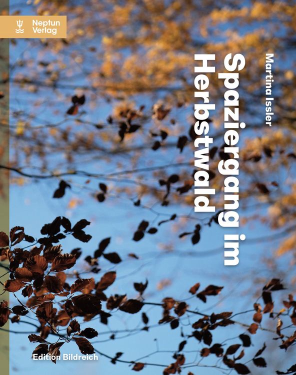 Produktbild: Spaziergang im Herbstwald