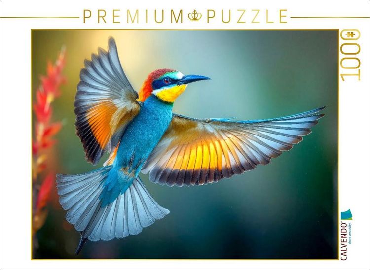 Produktbild: CALVENDO Puzzle Schillernde Sch&ouml;nheit | 1000 Teile Lege-Gr&ouml;&szlig;e 64x48cm Foto-Puzzle f&uuml;r gl&uuml;ckliche Stunden
