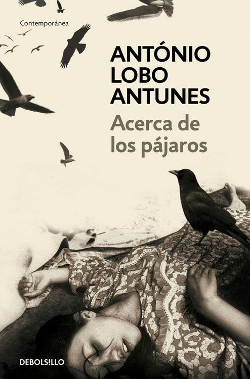 Produktbild: Acerca de los p&aacute;jaros