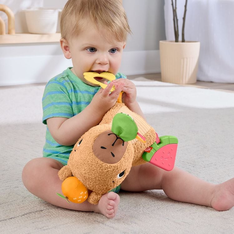 Produktbild: Fisher-Price sensorisches Babyspielzeug Kuschel-Capybara Pl&uuml;schtier mit Bei&szlig;ri