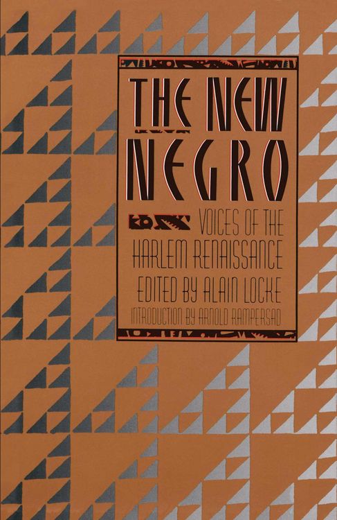 Produktbild: The New Negro