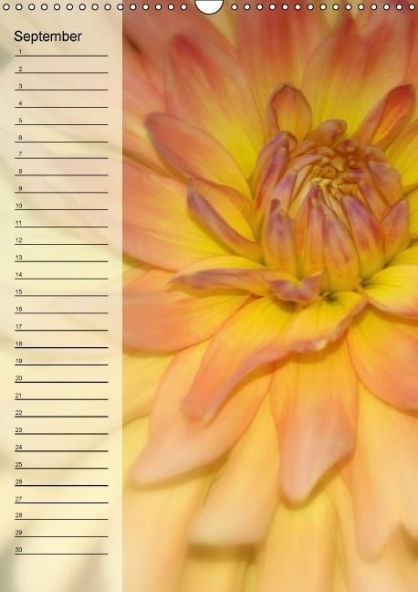 Produktbild: Immerw&auml;hrender Geburtstagskalender - Bl&uuml;tentr&auml;ume (Wandkalender immerw&auml;hrend DIN A3 hoch)