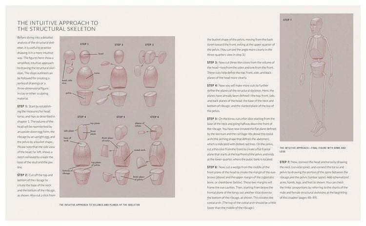 Produktbild: Basic Human Anatomy