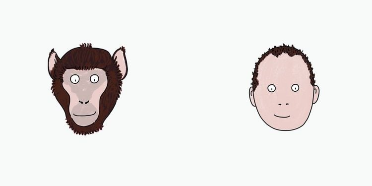 Produktbild: BiBiBiber hat da mal 'ne Frage. Warum k&ouml;nnen Babys nix? Leben & Tiere
