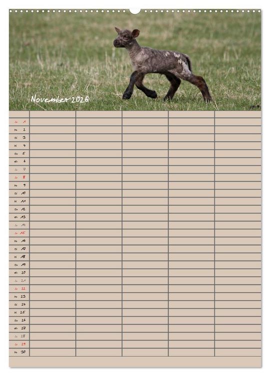 Produktbild: Der bel&auml;mmerte Familienplaner (hochwertiger Premium Wandkalender 2026 DIN A2 hoch), Kunstdruck in Hochglanz