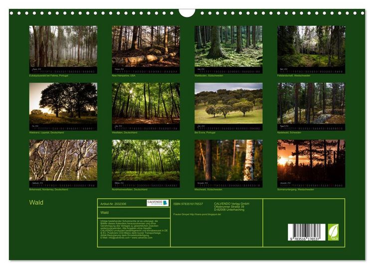 Produktbild: Wald (Wandkalender 2026 DIN A3 quer), CALVENDO Monatskalender