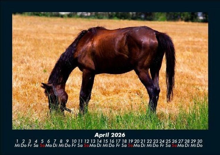 Produktbild: Die Welt der Pferde 2026 Fotokalender DIN A5