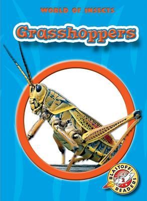 Produktbild: Grasshoppers