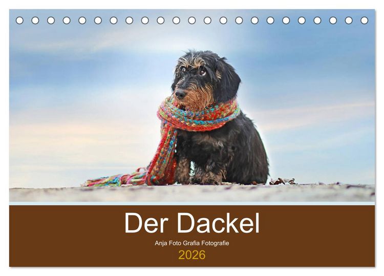 Produktbild: Der Dackel (Tischkalender 2026 DIN A5 quer), CALVENDO Monatskalender
