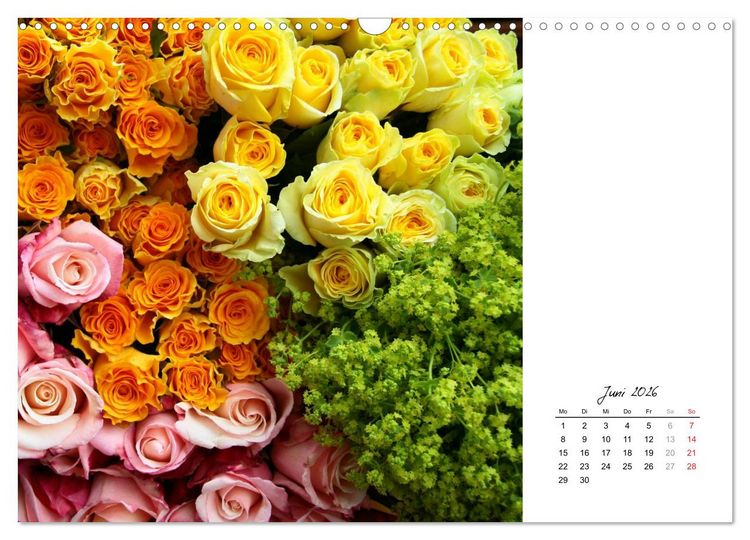Produktbild: Die vielen Gesichter der Rosen (Wandkalender 2026 DIN A3 quer), CALVENDO Monatskalender