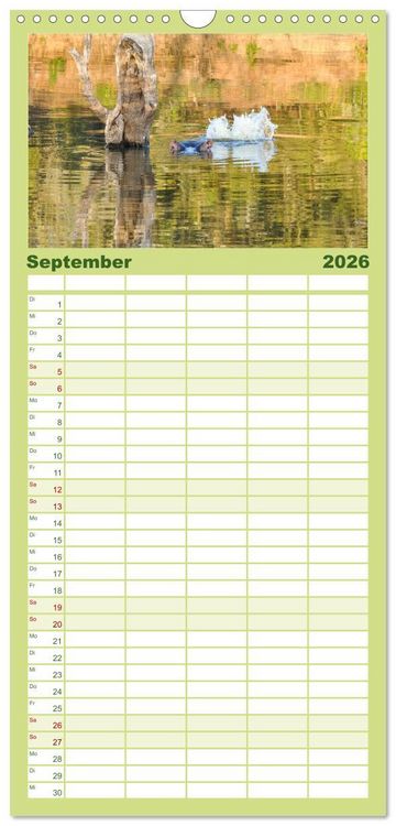 Produktbild: Familienplaner 2026 - Nilpferde, Kolosse im Wasser mit 5 Spalten (Wandkalender, 21 x 45 cm) CALVENDO
