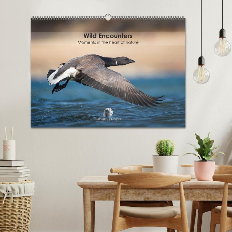 Produktbild: Wild encounters &ndash; Moments in the heart of nature (Wall Calendar 2026 DIN A2 landscape), CALVENDO 12 Month Wall Calendar