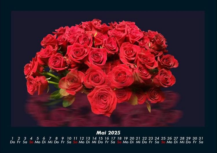 Produktbild: Rosen-Kalender 2025 Fotokalender DIN A4