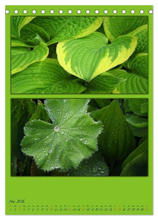 Produktbild: Farbtupferl der Natur (Tischkalender 2026 DIN A5 hoch), CALVENDO Monatskalender