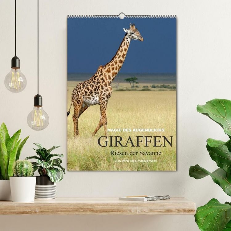 Produktbild: Magie des Augenblicks - Giraffen - Riesen der Savanne (Wandkalender 2027 DIN A2 hoch), CALVENDO Monatskalender