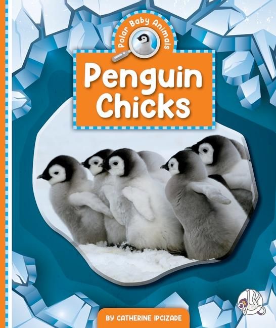 Produktbild: Penguin Chicks