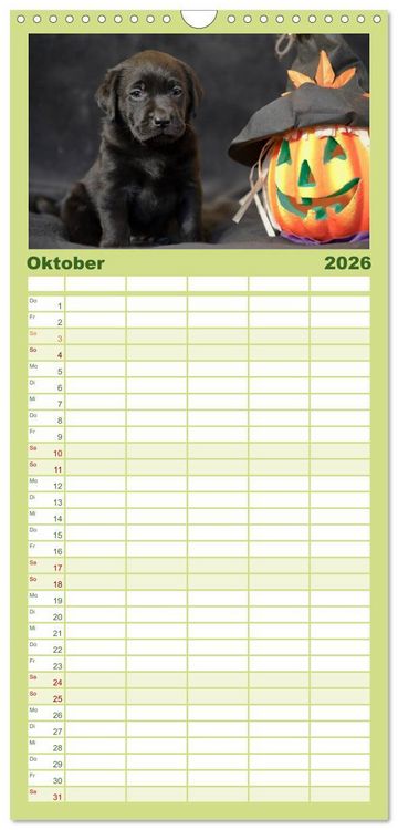 Produktbild: Familienplaner 2026 - Labrador Welpen mit 5 Spalten (Wandkalender, 21 x 45 cm) CALVENDO